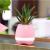 Creative can play piano music flower pot outdoor home wireless Bluetooth speaker universal