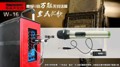 Sun rising microphone ty-16 hand microphone