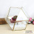 Succulent Flowerpot Glass Flower House Micro Landscape Ecological Creative Hanging Flowerpot Vase