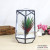 Glass Flower House Succulent Glass Flower House Flowerpot DIY Glass Vase Ornament