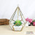 Geometric Glass Micro Landscape flower Room small Clumps Art Succulent Flower Vase Creative Accessories