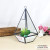 Geometric glass cover flower House cafe Decoration Micro landscape succulent Plants Creative Jewelry Craft