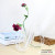 Creative Glass Vases, Flower Arrangements and living Room gifts