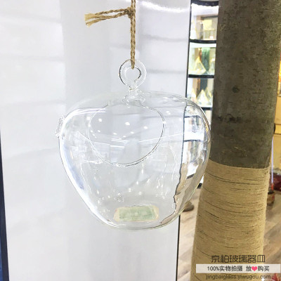 Hanging Hanging Glass Transparent Vase Succulent Plant Vase Small Glass creativity