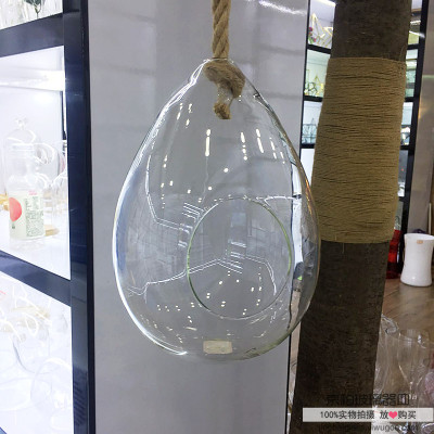 Suspended Glass Vase Succulent Plant Flowerpot Micro Landscape Ecological Bottle Transparent Round Condole Bottle
