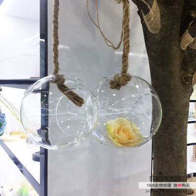 Hanging crystal glass vase LOB creative modern European glass water culture flowers
