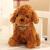 Simulation Dog Doll Poodle Plush Toy Doll Dog Tag Puppy Ragdoll Chihuahua Children