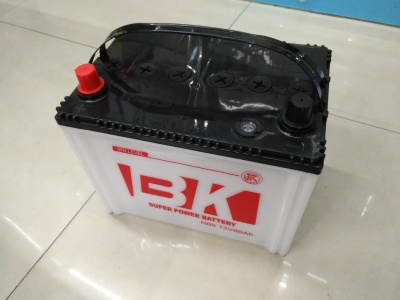 Battery 12v60ah Dry Charge Dry-Charged Battery