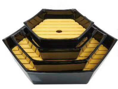 Japanese-style sushi lunch box with a dish dessert lunch box red and black Japanese restaurant cooking hot cook