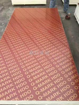 Factory direct sales professional exports of Africa, Middle East and southeast Asia construction template laminate