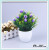 Green plant simulation plant indoor decoration small pieces of flowers fake flower belt basin mini simulation bonsai