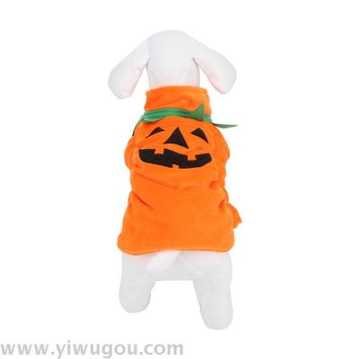Pumpkin dog holiday costume
