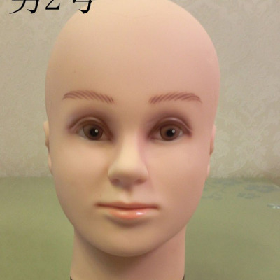 The Model prop head Model dummy head Model female head Model Barbershop Model full body Model