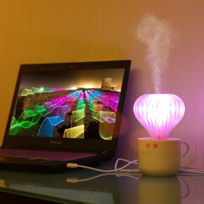 Cactus humidifier USB mini small air humidifier home office dormitory gift.