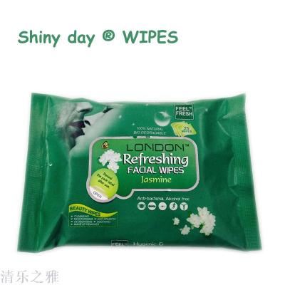 25 Piece Beauty Remover Wipes