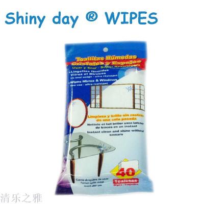 Shiny Day 40 piece Glass Clean wipes