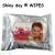 Shiny Day 80 piece with lid lady Beauty Remover Wipes