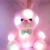 Led colorful music toys teddy Bear plush toy scarf bear Scarf Rabbit Valentine's Day gift