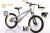 Bicycle 20 inches single speed 2.5 thick child bicycle student bicycle factory direct sale