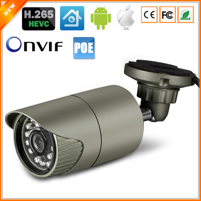 H.265 IP Camera 2MP 3MP 4MP Outdoor Waterproof CCTV Camera P2P Motion Detection Email Alert ONVIF DC 12V 48V PoE