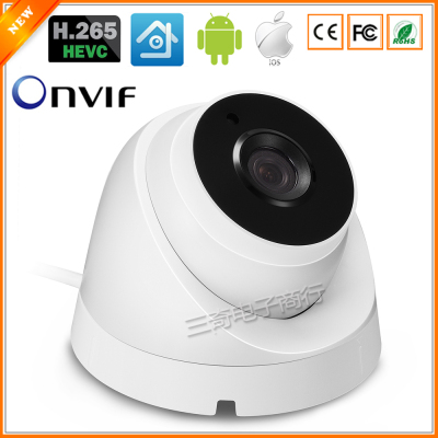 960P 1080P 25fps IP Camera Indoor Dome Security Video Camera IP 2PCS ARRAY LED ONVIF 2.0