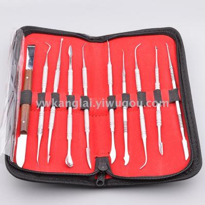 Dental Tools 10-Piece Set Dental Instruments Set