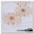 Manufacturers direct sale Korean pearl lace bangs stick hair stick clip hair card hair accessories