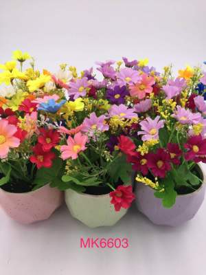 7. The flower box flower box flower box flower box flower box flower box flower garden flower garden flower garden