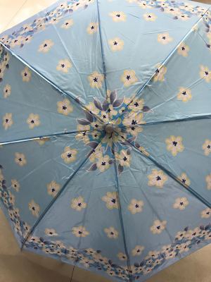 8 k triplicate umbrella