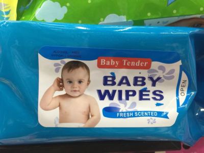 Baby wipes mouth and hand wipes