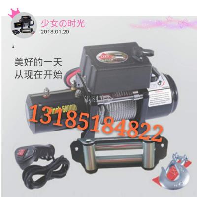 Electric Steel Wire Winch