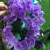 Artificial Flower Strip Simulated Pincushion Wholesale Violet Wall-Mounted Flower Vine Artificial Wisteria Wedding Bean Flower String
