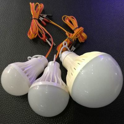 LED Low Voltage Bulb 30W Crocodile Clip Battery Globe 12V Globe with Clamp