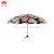 The Mini Ultra light vinyl 50% off umbrella with sun protection and UV protection