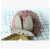 Korean edition baby rabbit ears cap children cartoon creative baseball cap outdoor sunbonnet foreign trade wholesale