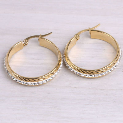 Fashion Gold-Plated Stainless Steel Earrings Earrings Female Japanese and Korean Style Temperament Wild European and American Personalized Jewelry