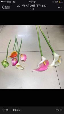 Imitation flower pu hua horseshoe lotus