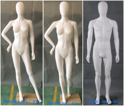Cheap Plastic Manenquin/Female or Male Mannequin for Sale