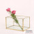 Succulent Flowerpot Transparent Glass Simple Flower Room Moss Micro Landscape immortal Flower Apparatus