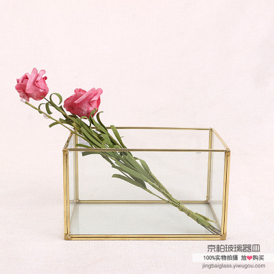 Succulent Flowerpot Transparent Glass Simple Flower Room Moss Micro Landscape immortal Flower Apparatus