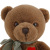 Popular Design Adorable Stuffed Beli Bear Baby Accompany Christmas Gift 