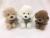 25cm Teddy Puppy Dog Plush Toy Doll
