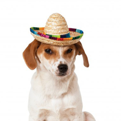 Pet Hat Dog Hat Kitten Hat Animal Shape Cap Handmade Foreign Trade Puppy Hat Customized Manufacturer