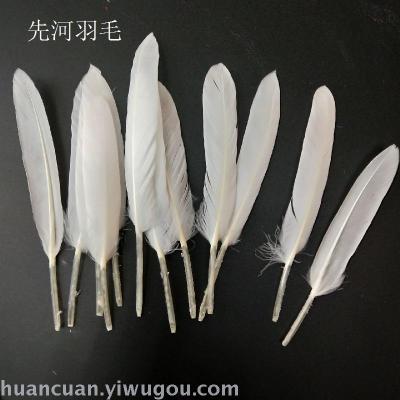 Factory Direct Sales Goose Feather Straight Knife Hair Knife Hair Small Feather