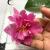 Flower of orchid flower imitation silk flower silk cloth artificial flower can come to custom.