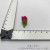 Simulation of small rose flower craft flower bud silk flower hair hoop hair pin accessories.