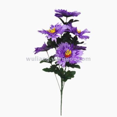 A bouquet of seven purple cores.