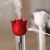 Creative Roses Mini Humidifier USB Car Gift Humidifier