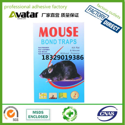 OEM Wholesale high quality Rodent mouse rat glue trap board 2pcs