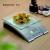 [Constant-157B] transparent tray electronic kitchen scale, baking scale, cooking scale.